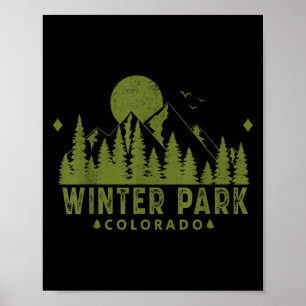 Vintager Winterpark Colorado Wandern neben dem Was Poster