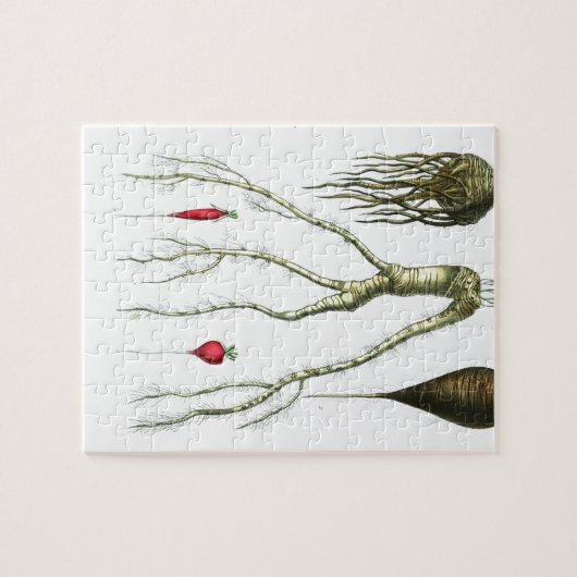Vintager Wurzelgemüse-botanischer Druck Puzzle (Horizontal)