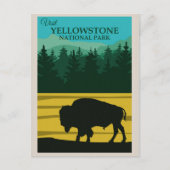 Vintager Yellowstone-Nationalpark Buffalo Postkarte (Vorderseite)