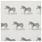 Vintager Zebra Stoff (Muster)