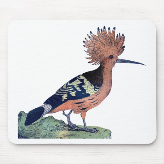 Vintager Zeckvogel Mousepad (Vorne)