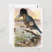 Vintager Zeichn: Der Fischzüchter Postkarte (Vorne/Hinten)