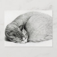 Vintager Zeichn eines Kitten