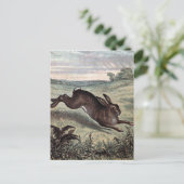 Vintager Zeichn: Hare in einem Feld ausführen Postkarte (Stehend Vorderseite)