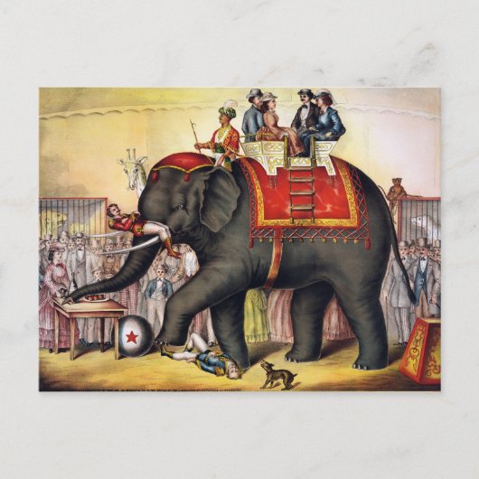 Vintager Zirkus-Elefant Postkarte (Vorderseite)
