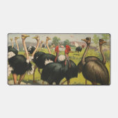 Vintager Zirkus mit Straußen und großen Vögeln. Schreibtischunterlage (Vorderseite)