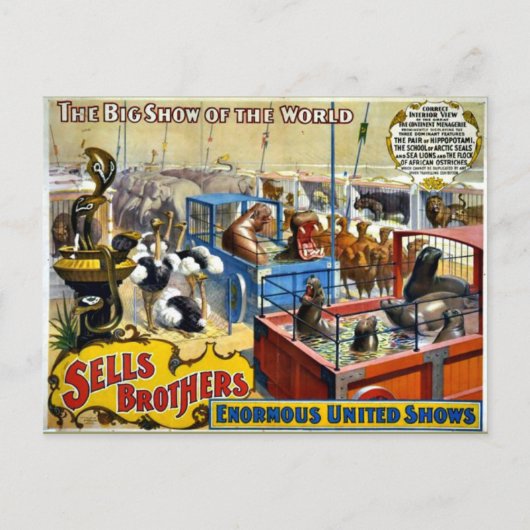 Vintager Zirkus - Verkauft Brüder Circus Postkarte (Vorderseite)