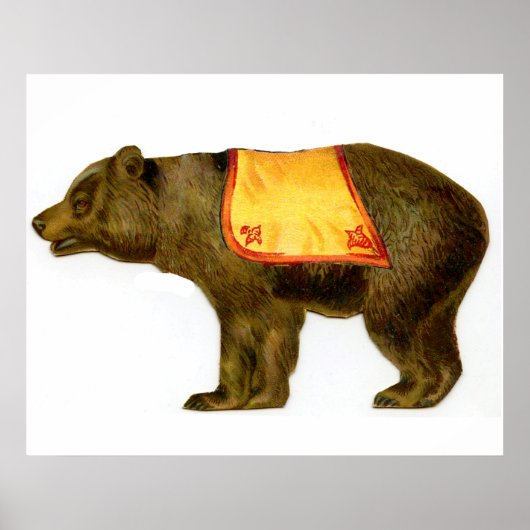 Vintager Zirkusbär darstellend Poster (Vorne)