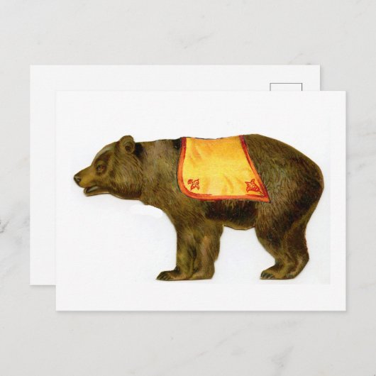 Vintager Zirkusbär darstellend Postkarte (Vorne/Hinten)