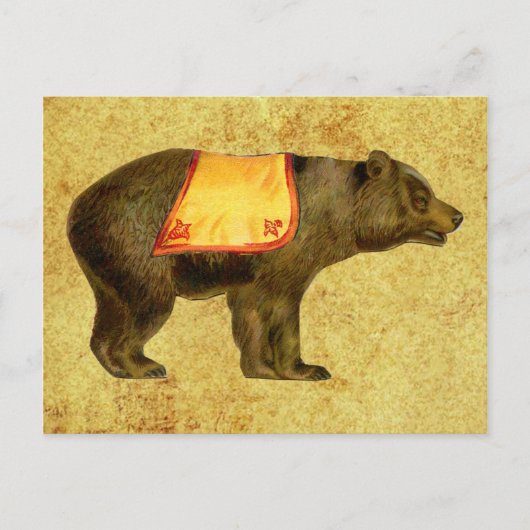 Vintager Zirkusbär Postkarte (Vorderseite)