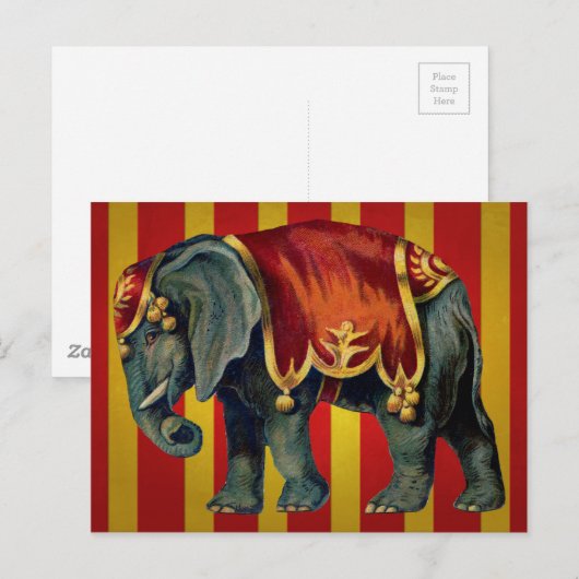 Vintager Zirkuselefant Postkarte (Vorne/Hinten)