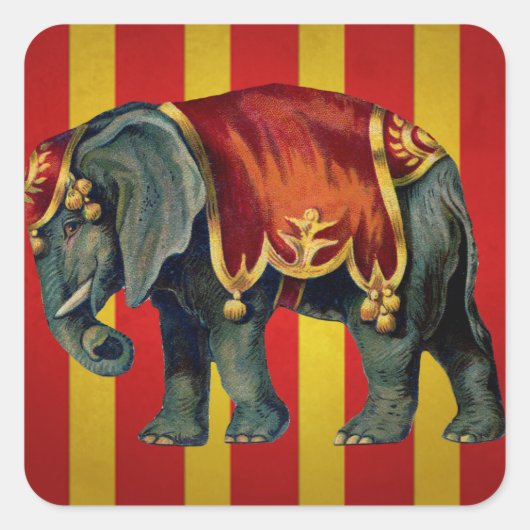 Vintager Zirkuselefant Quadratischer Aufkleber (Vorderseite)
