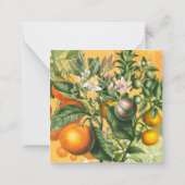 Vintager Zitrus Save the Date Mitteilungskarte (Rückseite)