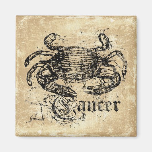 Vintager Zodiakarzinom Magnet (Vorne)