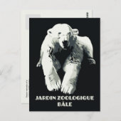 Vintager Zoo und Basler Eisbär Postkarte (Vorne/Hinten)