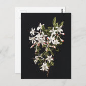 Vintager Zweig der weißen Azaleen im Blühen Postkarte (Vorne/Hinten)