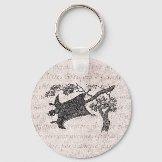 Vintages 1800er-Fliegeneichhörnchen - Zuckerhut Schlüsselanhänger (Vorderseite)