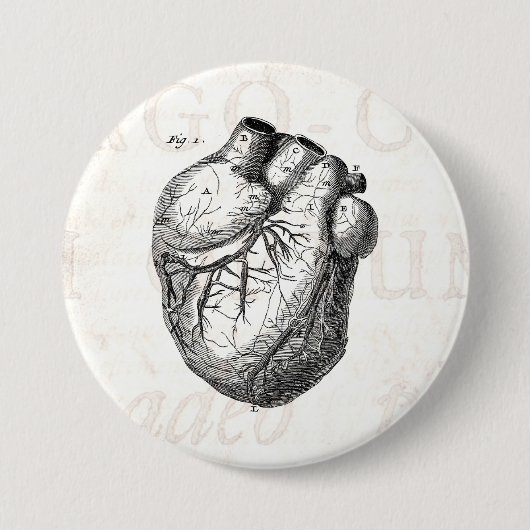 Vintages 1800s Herz-Retro Herzanatomie-Herzen Button (Vorderseite)