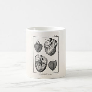 Vintages 1800s Herz-Retro Herzanatomie-Herzen Kaffeetasse