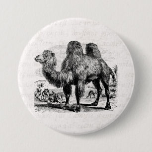 Vintages 1800s Kamel - ägyptische Kamel-Schablone Button