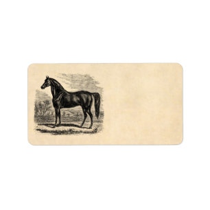 Vintages 1800s Pferd - Morgan-Reiter-Schablone Adressaufkleber