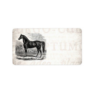 Vintages 1800s Pferd - Morgan-Reiter-Schablone Adressaufkleber