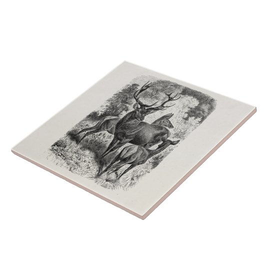 Vintages 1800s rote fliese (Seite)