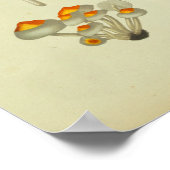 Vintages 1841 Blaue Pilze Poster (Ecke)