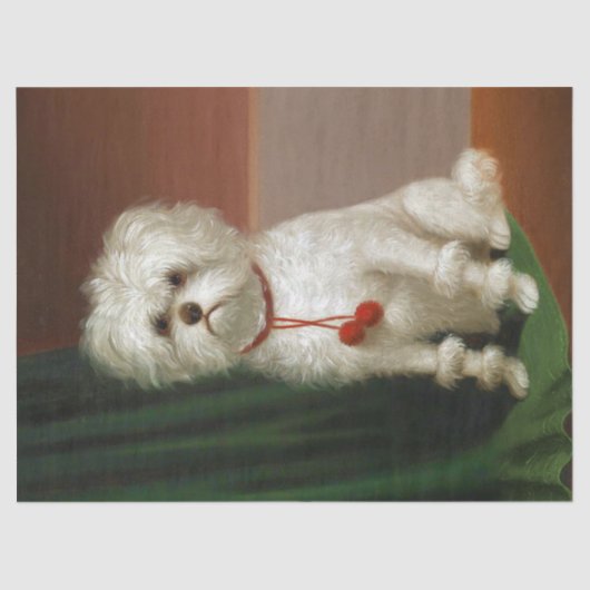 Vintages Adorable White Dog Portrait Seidenpapier (Vorderseite)