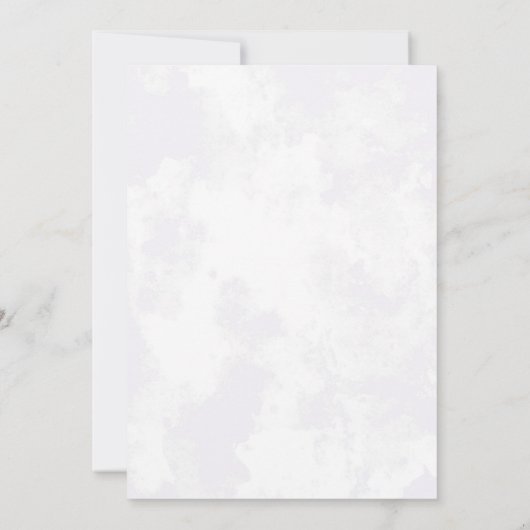 Vintages Airplane Babydusche-Party Einladung (Rückseite)