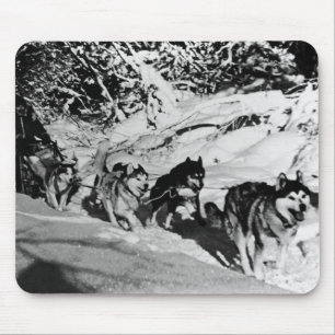 Vintages Alaska eskimo Malamute Schlittenrennen Mousepad
