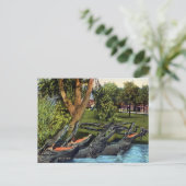 Vintages Alligator Quartett Bayano River, Panama Postkarte (Stehend Vorderseite)