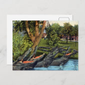 Vintages Alligator Quartett Bayano River, Panama Postkarte (Vorne/Hinten)