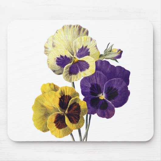 Vintages altes Gemälde lila gelbe Stiefmütterchen  Mousepad (Vorne)