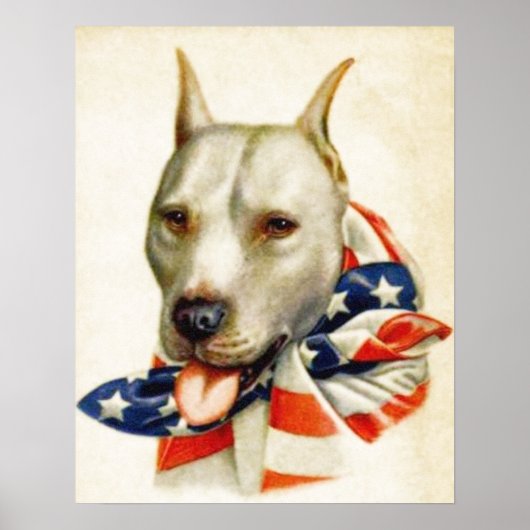 Vintages amerikanisches Patriotisches Pit Bull Dog Poster (Vorne)