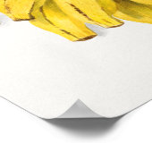Vintages Ananas Poster (Ecke)