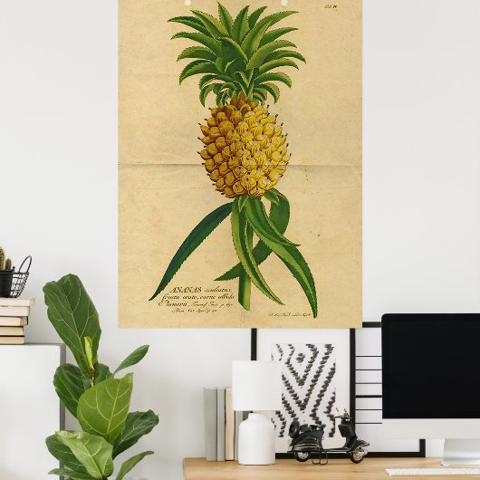 Vintages Ananas-Poster Poster (Heimbüro)