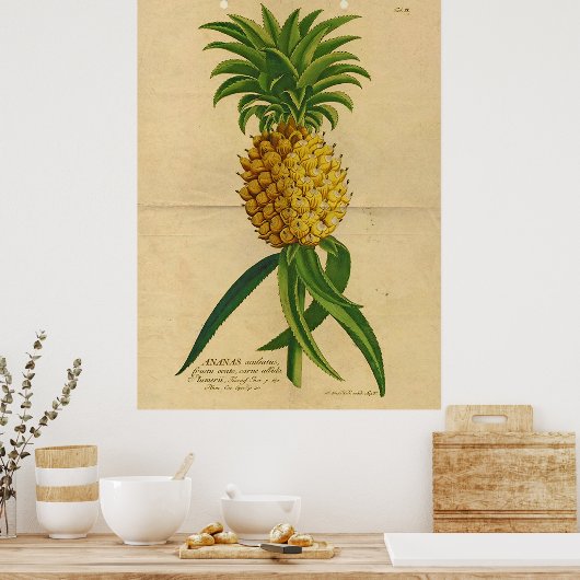 Vintages Ananas-Poster Poster (Küche)