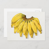 Vintages Ananas Postkarte (Vorne/Hinten)