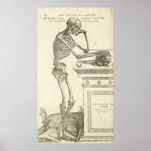 Vintages Anatomie-Andreas- Vesaliusskelett Poster