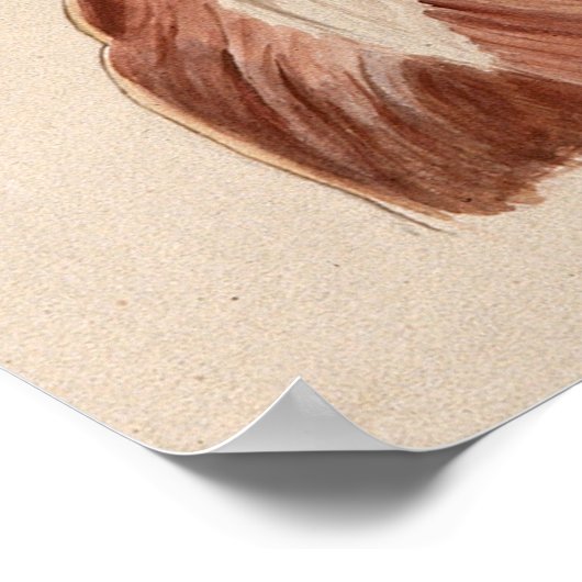 Vintages Anatomie Diagramm Poster (Ecke)