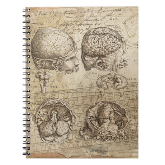 Vintages Anatomie-Distressed Collage Art-Notebook Notizblock (Vorderseite)