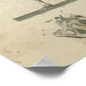 Vintages Anatomie Druckskelett Poster (Ecke)