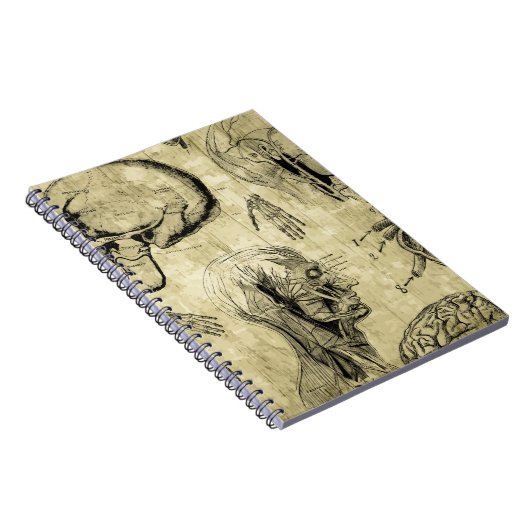 Vintages Anatomie-Notebook Notizblock (Rechte Seite)