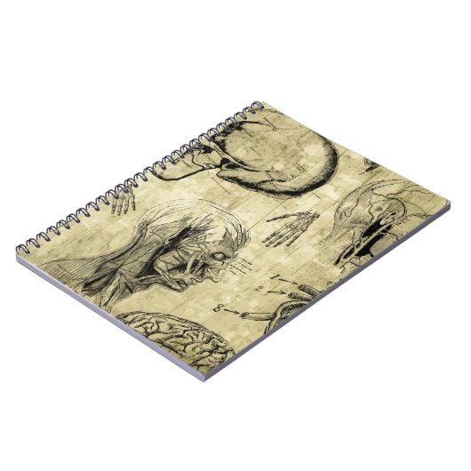 Vintages Anatomie-Notebook Notizblock (Linke Seite)