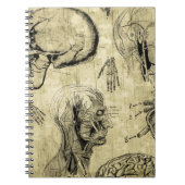 Vintages Anatomie-Notebook Notizblock (Vorderseite)
