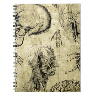 Vintages Anatomie-Notebook Notizblock