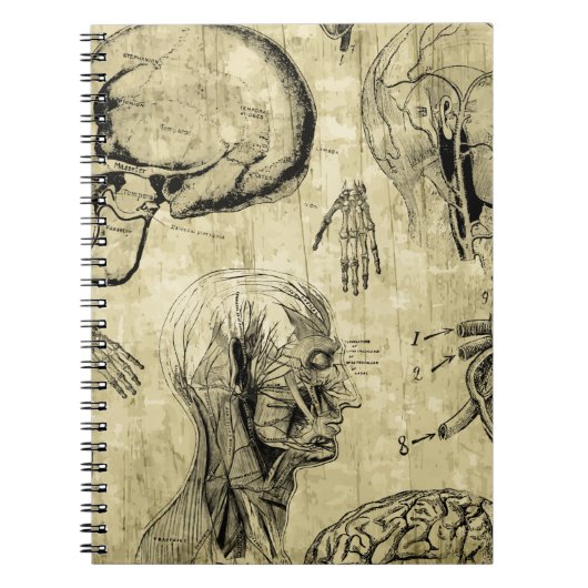 Vintages Anatomie-Notebook Notizblock (Vorderseite)