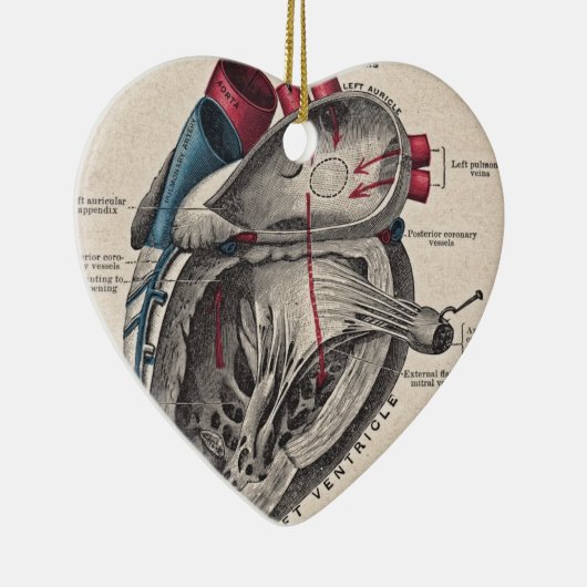 Vintages anatomisches Herz Keramikornament (Rechts)