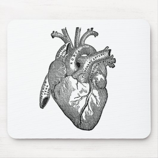 Vintages anatomisches Herz Mousepad (Vorne)